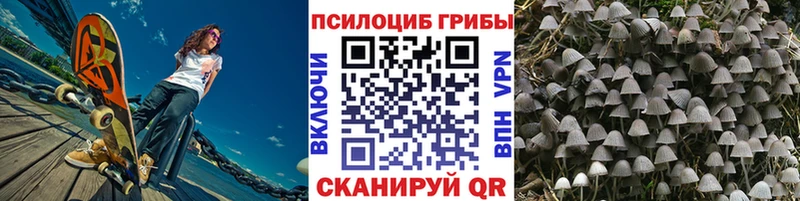 ссылка на мегу онион  Ленск  Галлюциногенные грибы Psilocybe 
